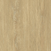 Film nội thất SPW11 White Oak Interior